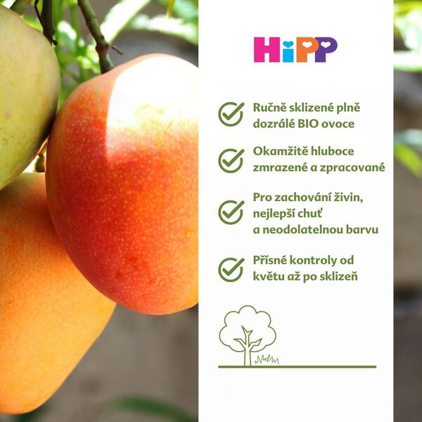 Hipp BIO Jablka s mangem a jahodami 5m 160 g