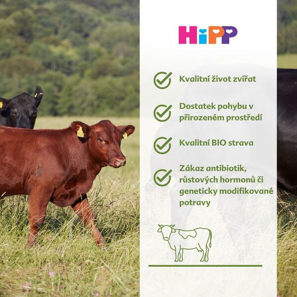 Hipp BIO Mrkev, brambory a hovězí maso 5m 190 g