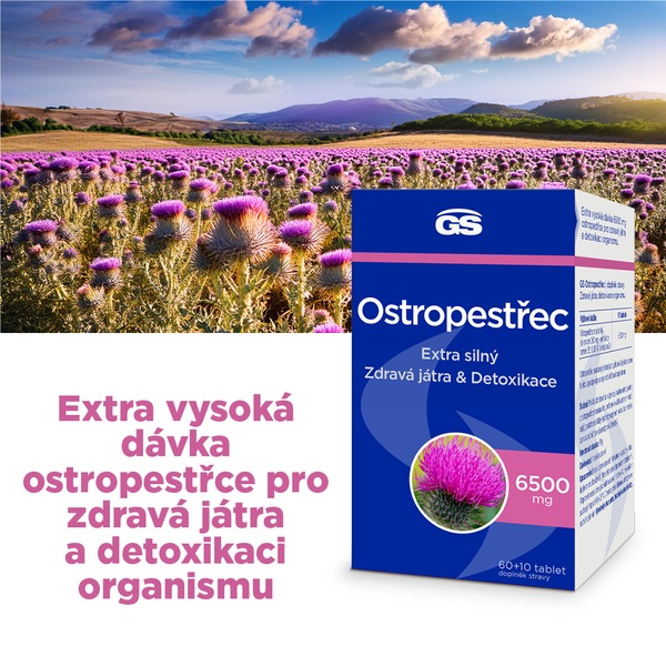 GS Ostropestřec 6500 mg 60+10 tablet 