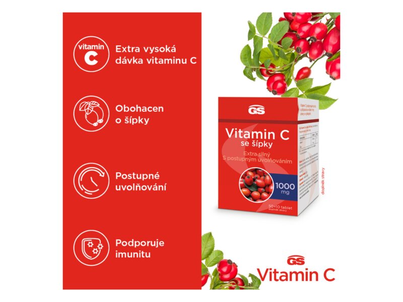 GS Vitamin C 1000 se šípky 50+10 tablet