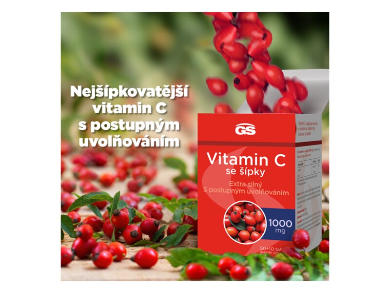 GS Vitamin C 1000 se šípky 50+10 tablet GS Vitamin C 1000 se šípky 50+10 tablet