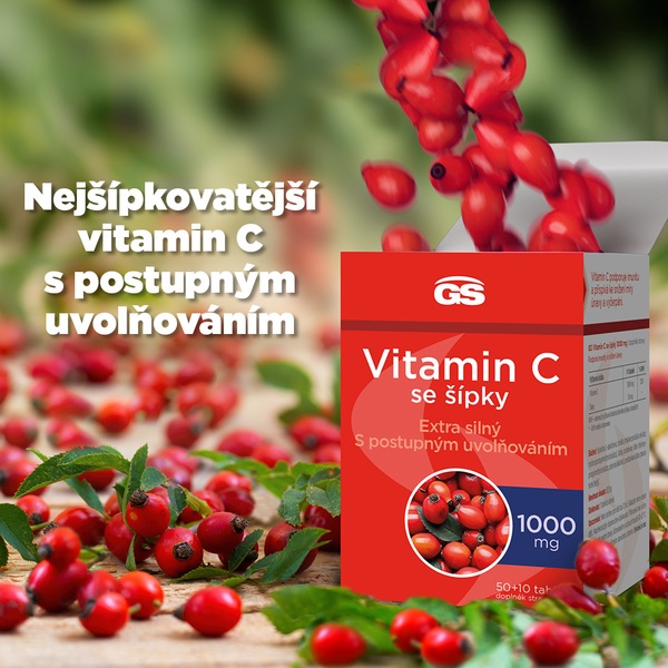 GS Vitamin C 1000 se šípky 50+10 tablet GS Vitamin C 1000 se šípky 50+10 tablet