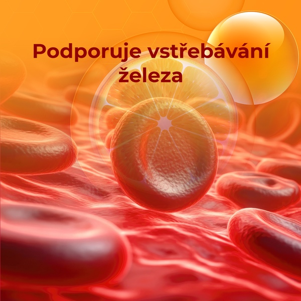 Premium Vitamin C Duo 500 mg 60 kapslí