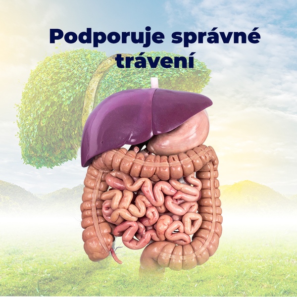 Premium Silymarin Forte 60 tablet