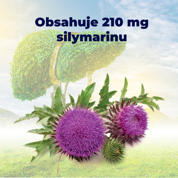 Premium Silymarin Forte 60 tablet