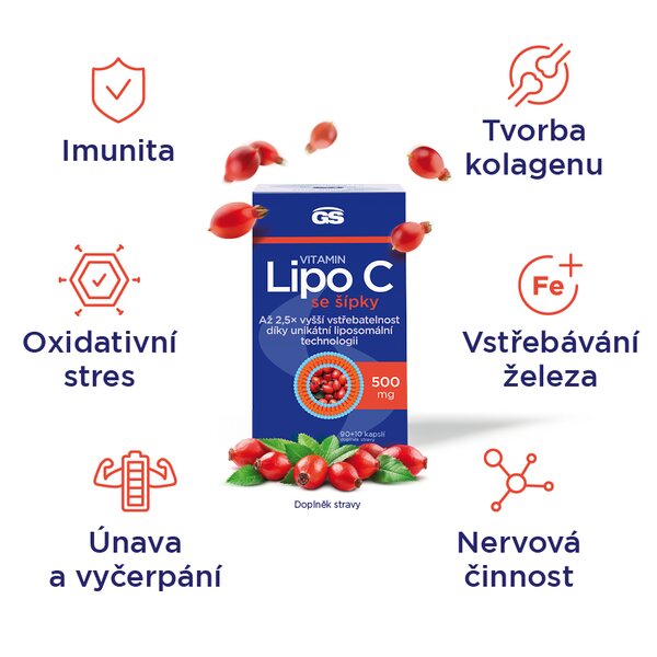 GS Vitamin Lipo C 500 mg se šípky 90+10 kapslí