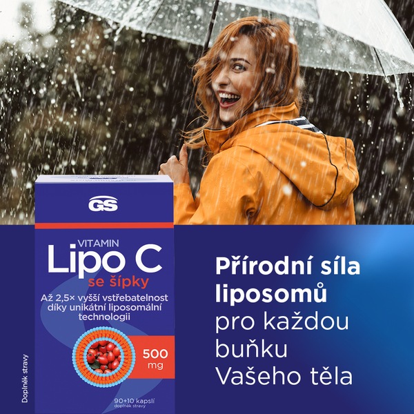 GS Vitamin Lipo C 500 mg se šípky 90+10 kapslí