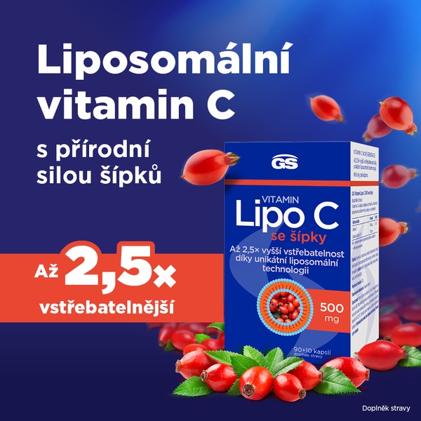 GS Vitamin Lipo C 500 mg se šípky 90+10 kapslí