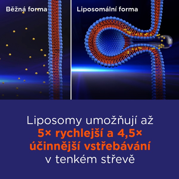 GS Vitamin Lipo D3 1000 IU 60 kapslí GS Vitamin Lipo D3 1000 IU 60 kapslí