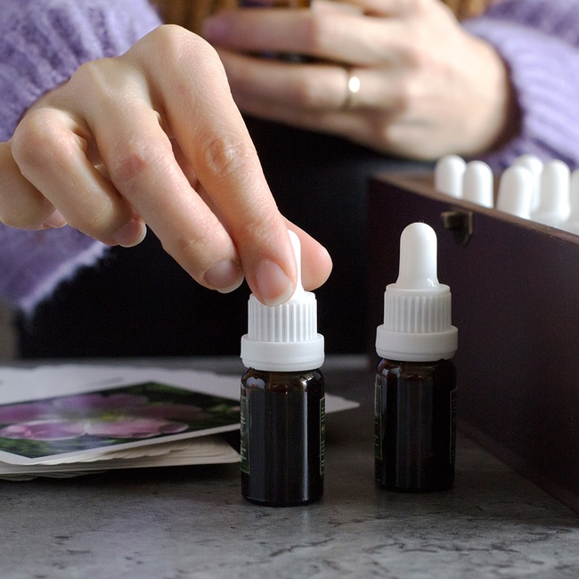 Jak se používají Bachovky? - Jak se používají Bachovky? Jak se používají Bachovky?