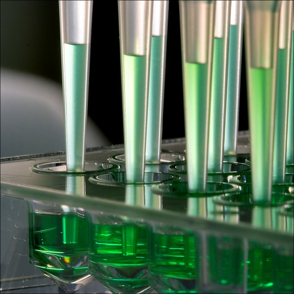 Revalid Extra-Firming denní krém 50 ml