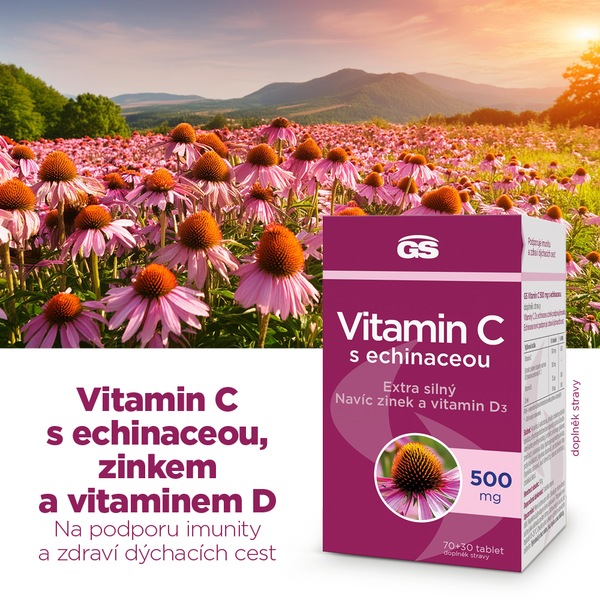 GS Vitamin C 500 s echinaceou 70+30 tablet GS Vitamin C 500 s echinaceou 70+30 tablet