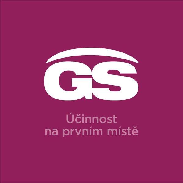 GS Vitamin C 500 s echinaceou 70+30 tablet GS Vitamin C 500 s echinaceou 70+30 tablet