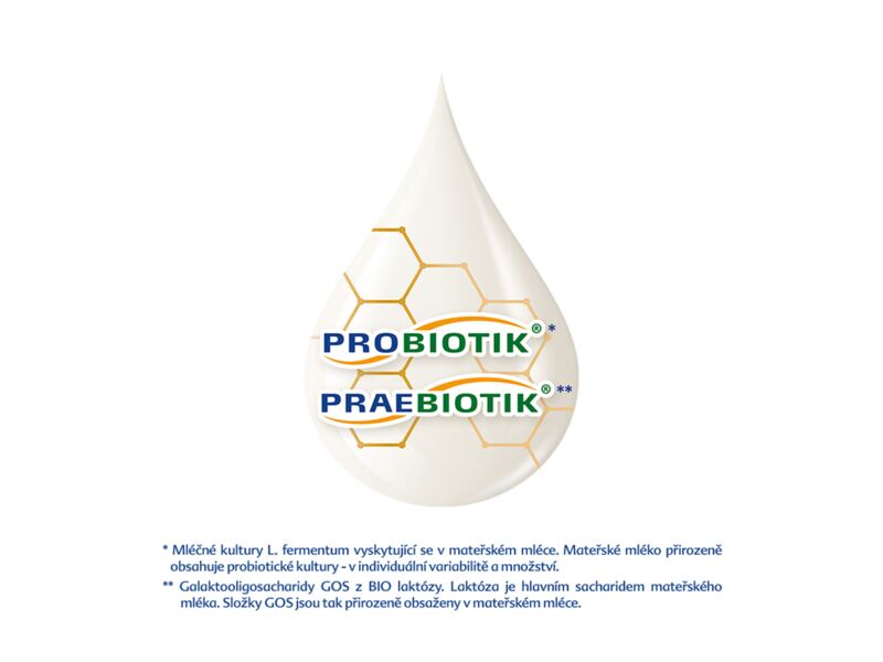 Hipp 4 Junior Combiotik mléčná výživa 500 g