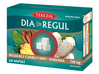 Terezia Diaregul 60 kapslí Terezia Diaregul 60 kapslí