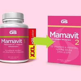 GS Mamavit 1 Plánování a 1. trimestr XXL 90+20 tablet GS Mamavit 1 Plánování a 1. trimestr XXL 90+20 tablet