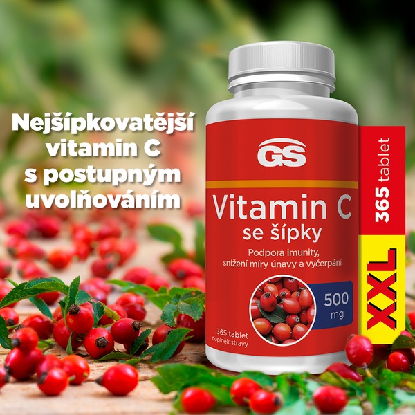 GS Vitamin C 500 mg se šípky XXL 365 tablet