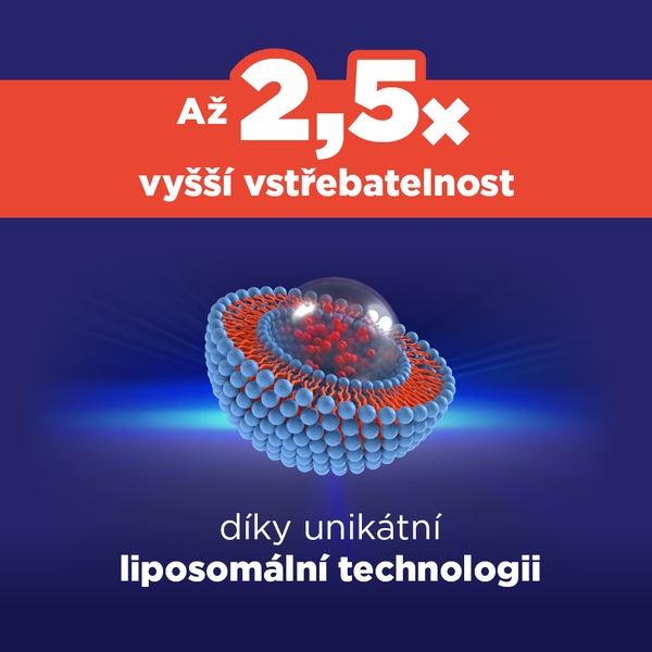 GS Vitamin Lipo C 500 mg se šípky XXL 100+10 kapslí GS Vitamin Lipo C 500 mg se šípky XXL 100+10 kapslí