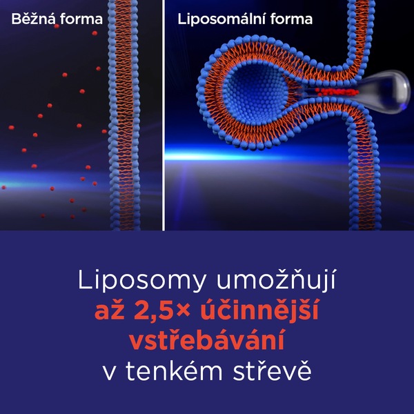 GS Vitamin Lipo C 500 mg se šípky XXL 100+10 kapslí GS Vitamin Lipo C 500 mg se šípky XXL 100+10 kapslí