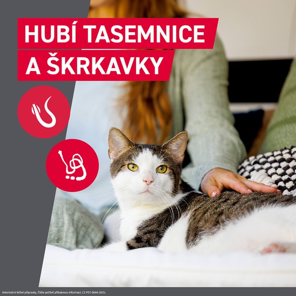 Frontcontrol Wormer 230/20mg ( 4 kg ) pro kočky 2 tablety