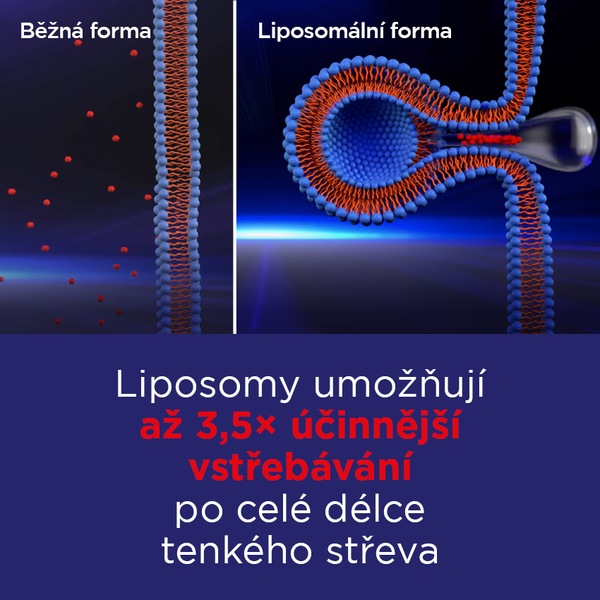 GS Železo Lipo Fe 30 kapslí GS Železo Lipo Fe 30 kapslí