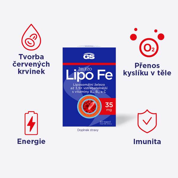 GS Železo Lipo Fe 30 kapslí GS Železo Lipo Fe 30 kapslí