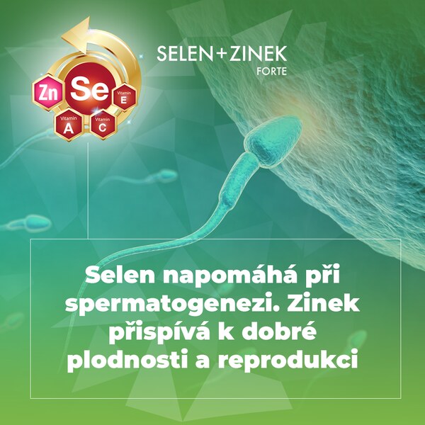Selen + Zinek Forte 60 tablet