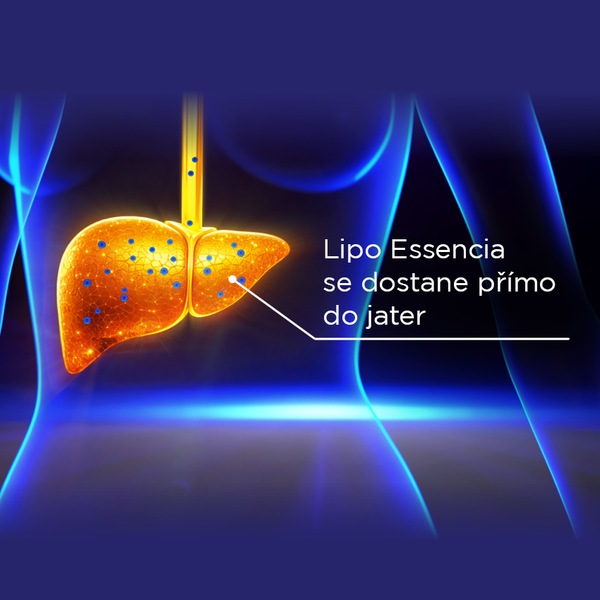 GS Lipo Essencia se silymarinem 60 kapslí GS Lipo Essencia se silymarinem 60 kapslí