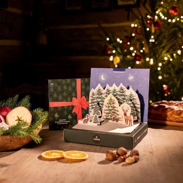 Leros Vánoční bylinková nadílka 6x5 sáčků