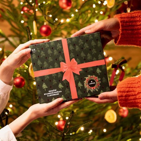 Leros Vánoční bylinková nadílka 6x5 sáčků