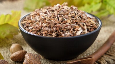 Dubová kůra – jaké je tajemství její léčivé síly?