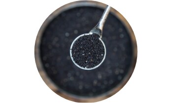 SWP Aviron Rapid 24 tablet