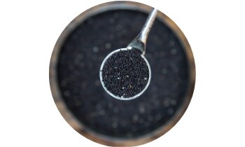 SWP Aviron Rapid Kids sáčky 10 ks