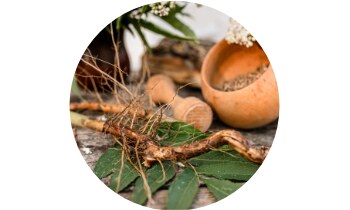 SWP StressClean Complex 30 kapslí