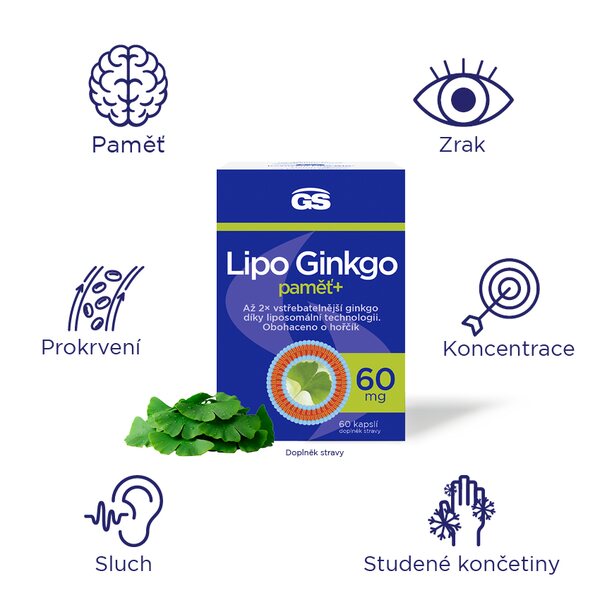 GS Lipo Ginkgo paměť+ 60 mg 60 kapslí