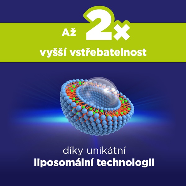 GS Lipo Ginkgo paměť+ 60 mg 60 kapslí