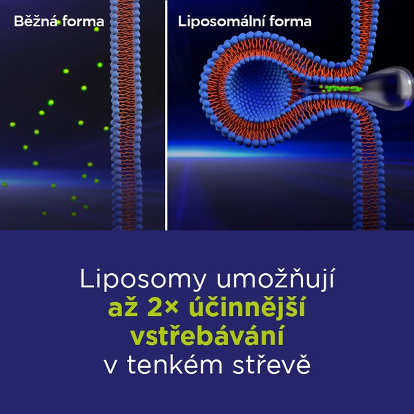 GS Lipo Ginkgo paměť+ 60 mg 60 kapslí