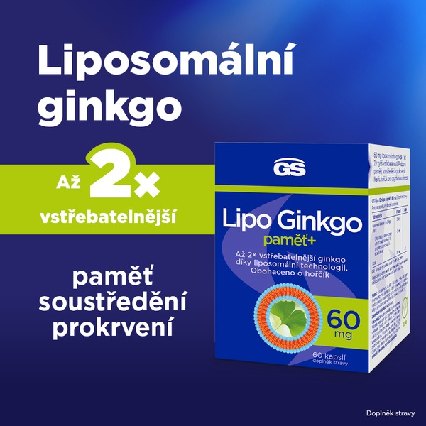 GS Lipo Ginkgo paměť+ 60 mg 60 kapslí