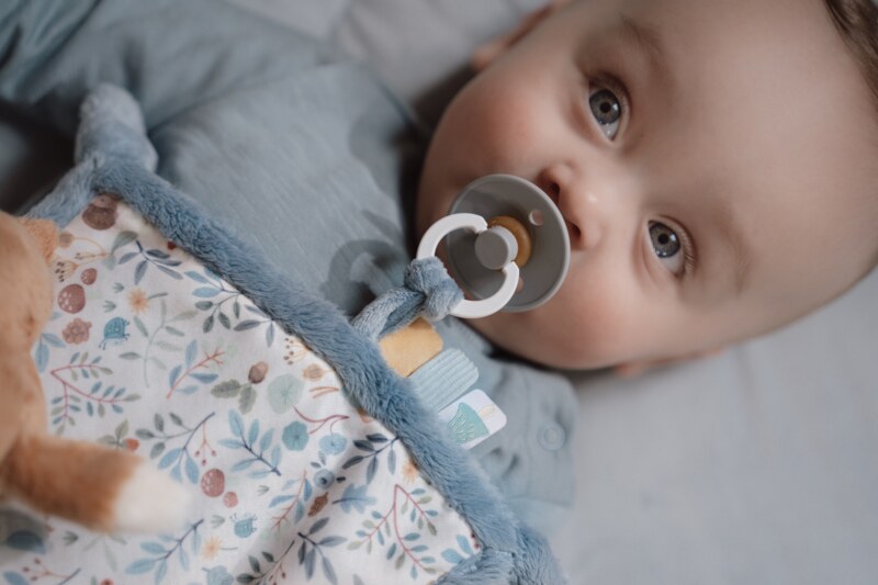 Little Dutch Muchláček s liškou Forest Friends