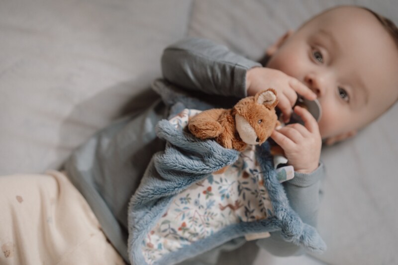 Little Dutch Muchláček s liškou Forest Friends