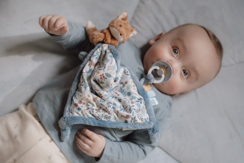 Little Dutch Muchláček s liškou Forest Friends