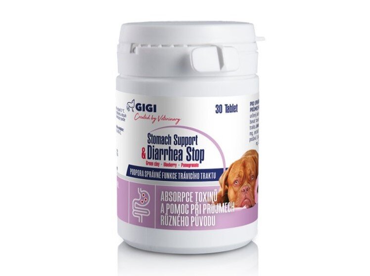 Proactivet Stomach Support&Diarrhea Stop pro velké psy 30 tablet