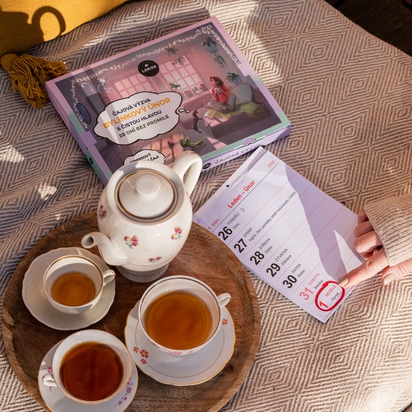 Leros Bylinkový únor s čistou hlavou 28 ks