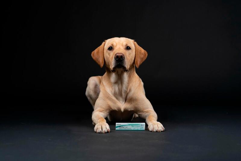 Repolar Abilar Vet pryskyřicová mast 10 ml