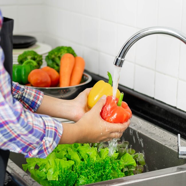 10 rad, jak předcházet parazitům - 10 rad, jak předcházet parazitům 10 rad, jak předcházet parazitům