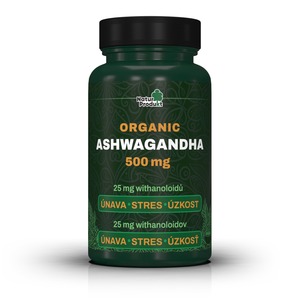 Naturprodukt Ashwagandha organic 500 mg 60 tobolek
