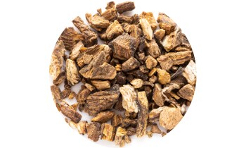 SWP Esentin Kids sirup 100 ml