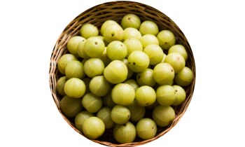 SWP Esentin Kids sirup 100 ml