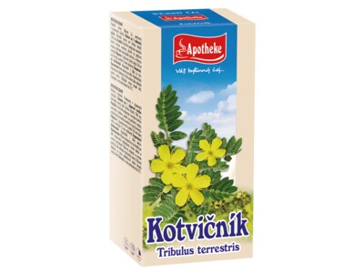 Apotheke Kotvičník nálevové sáčky 20x1,5 g