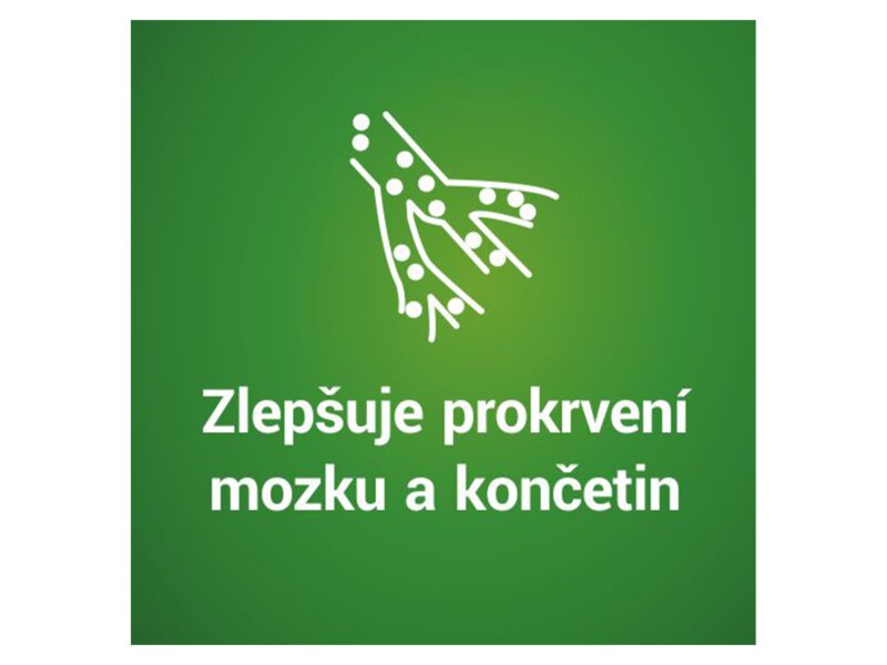 Gingio 40 mg 90 potahovaných tablet